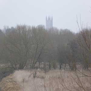 Woodland and top of Canterbury Cathedral